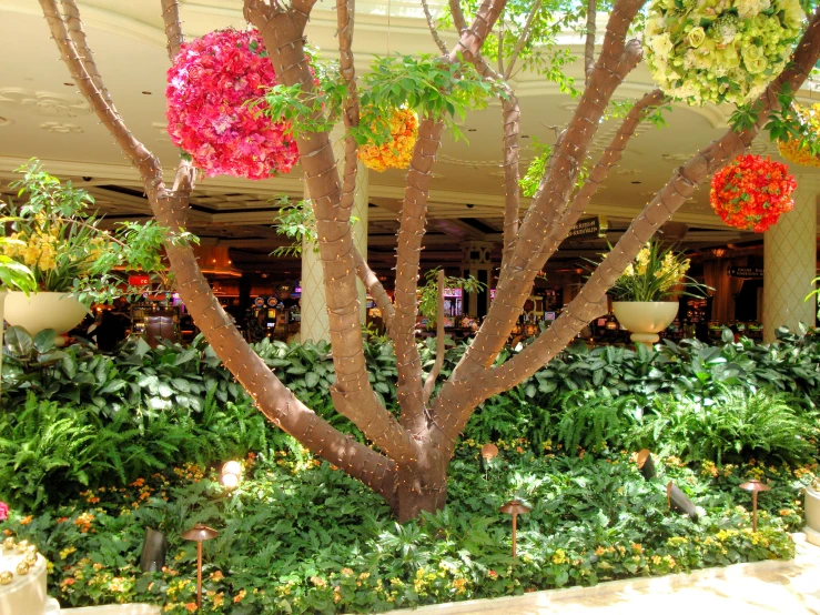 a mall area with different plant life in bloom