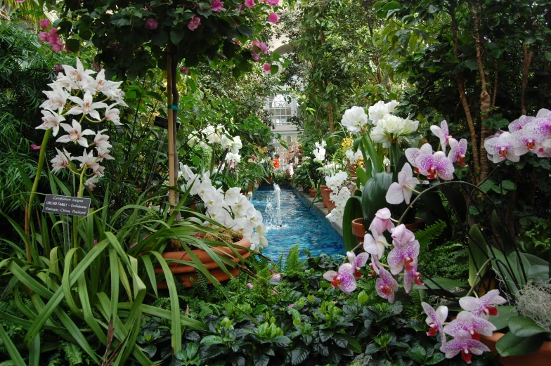 the garden is filled with many flowers and plants