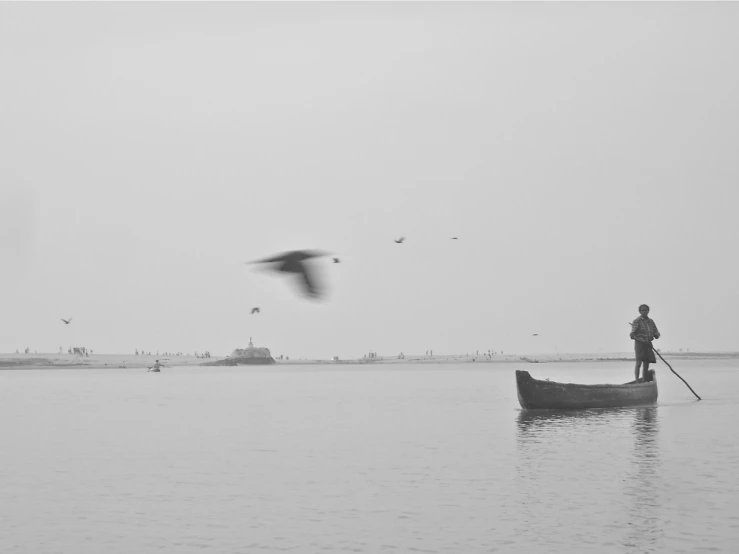 an image of a man fishing while birds fly by