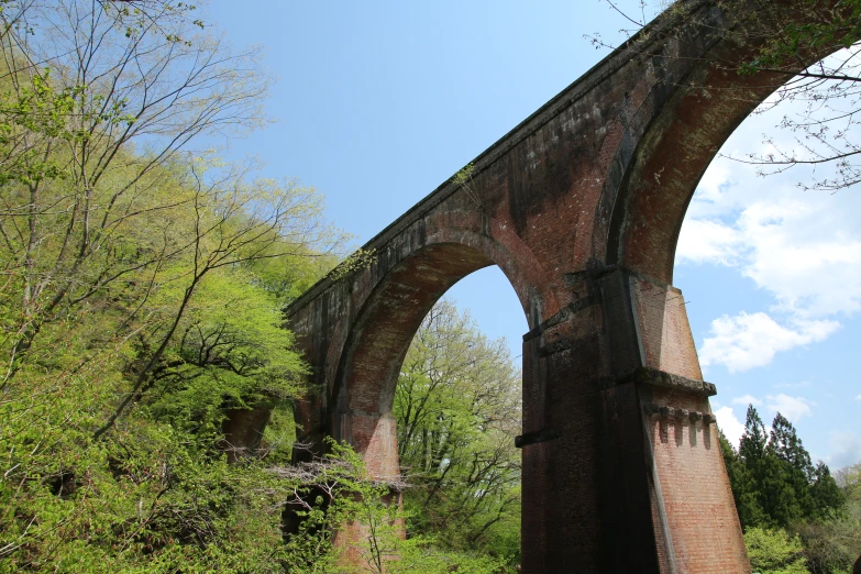 an arched bridge in a lush green forest