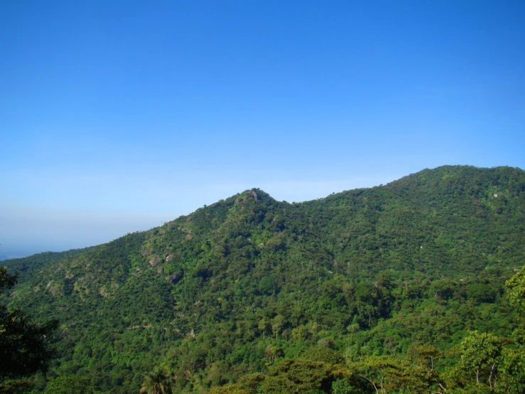 a very big pretty mountain with some green trees