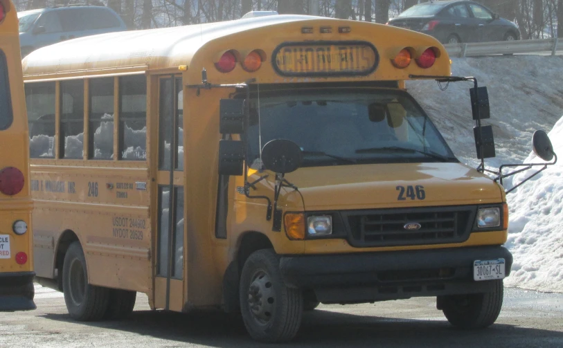 two school busses side by side in the parking lot