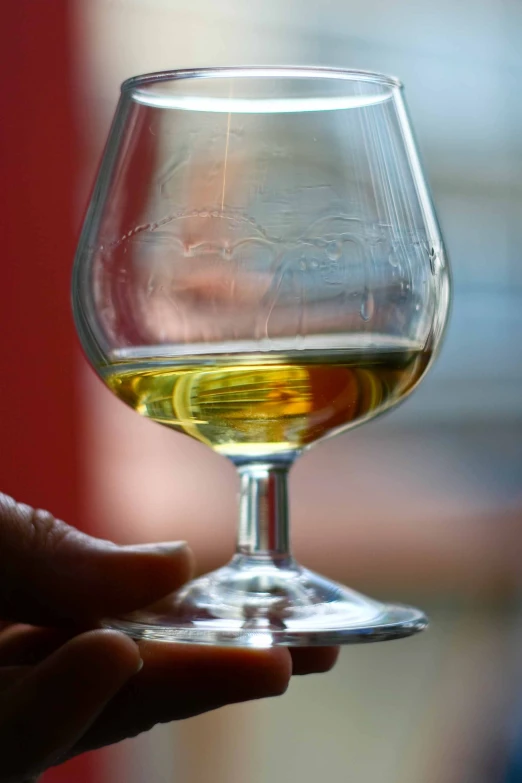 a person holding a wine glass with white wine