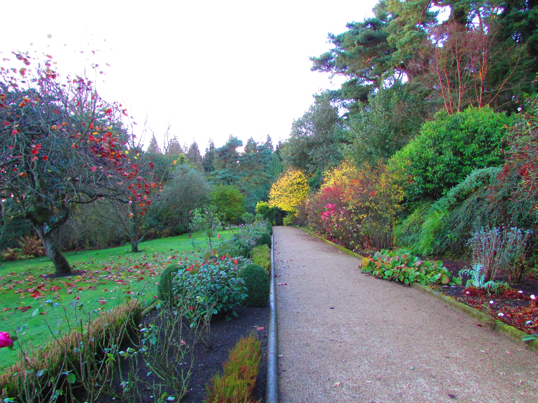 a pathway lined with various types of flowers