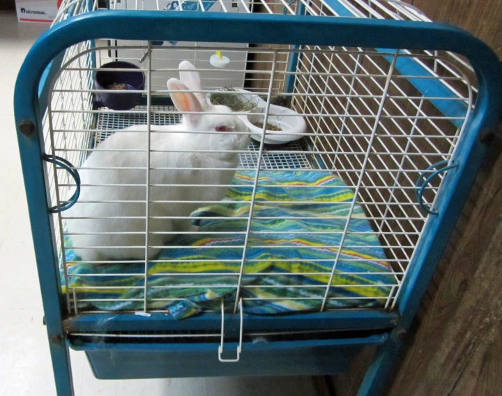 a small metal cage with a rabbit inside of it