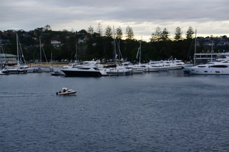many boats parked at the dock at twilight