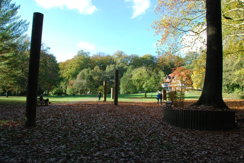 several people are walking through an autumn park