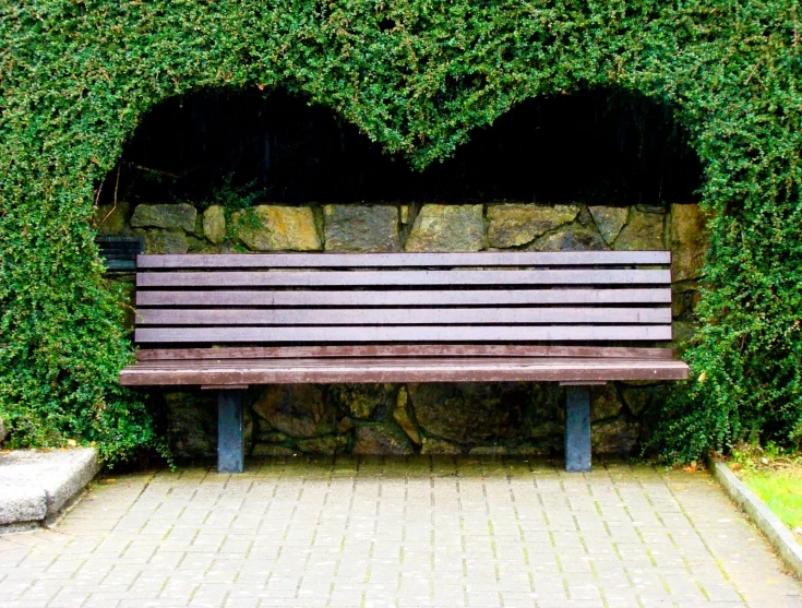 an empty park bench sitting between some vines