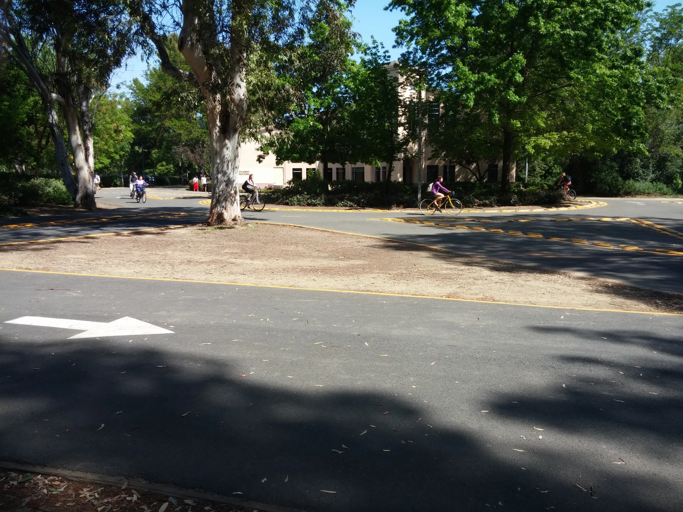 the stop sign is in the middle of a quiet park