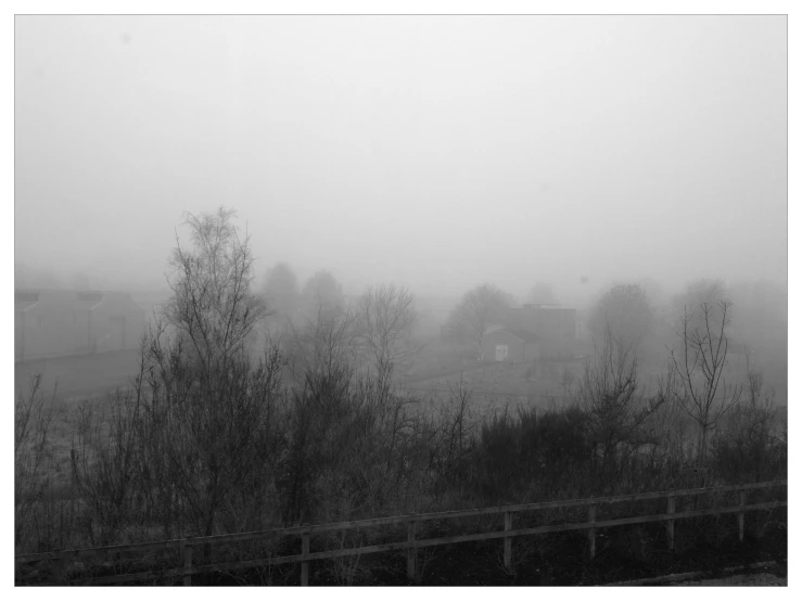 some trees and a fence in a foggy field