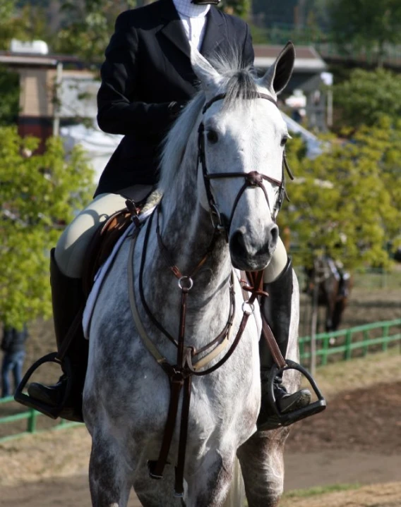 a man riding on the back of a white horse