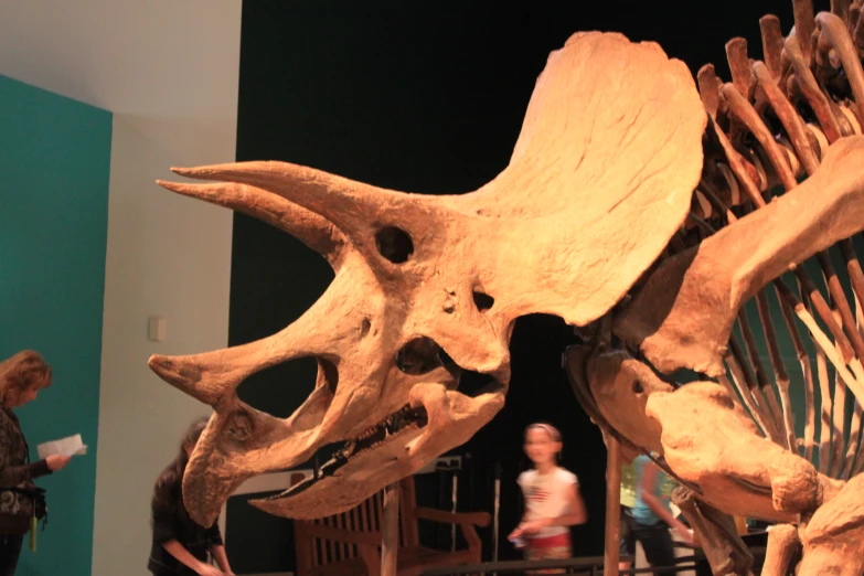 two children look at a skeleton of a giant dinosaur