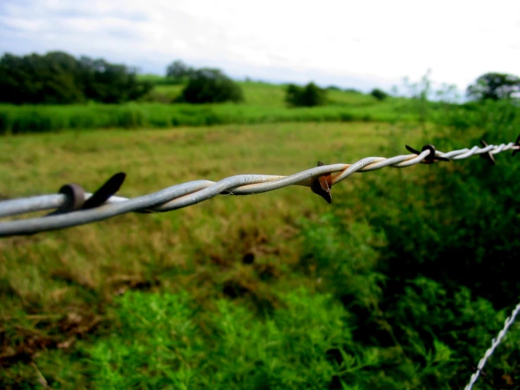 a line of barbed wire in a field