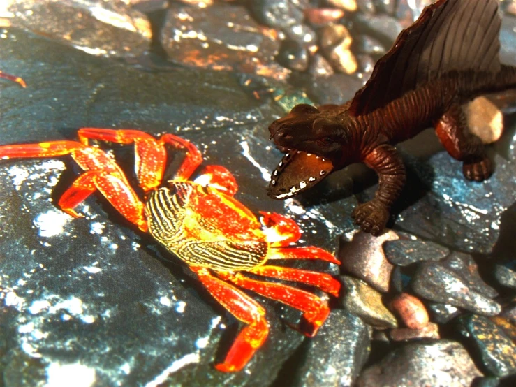 two toys on rock and water with rocks in the background