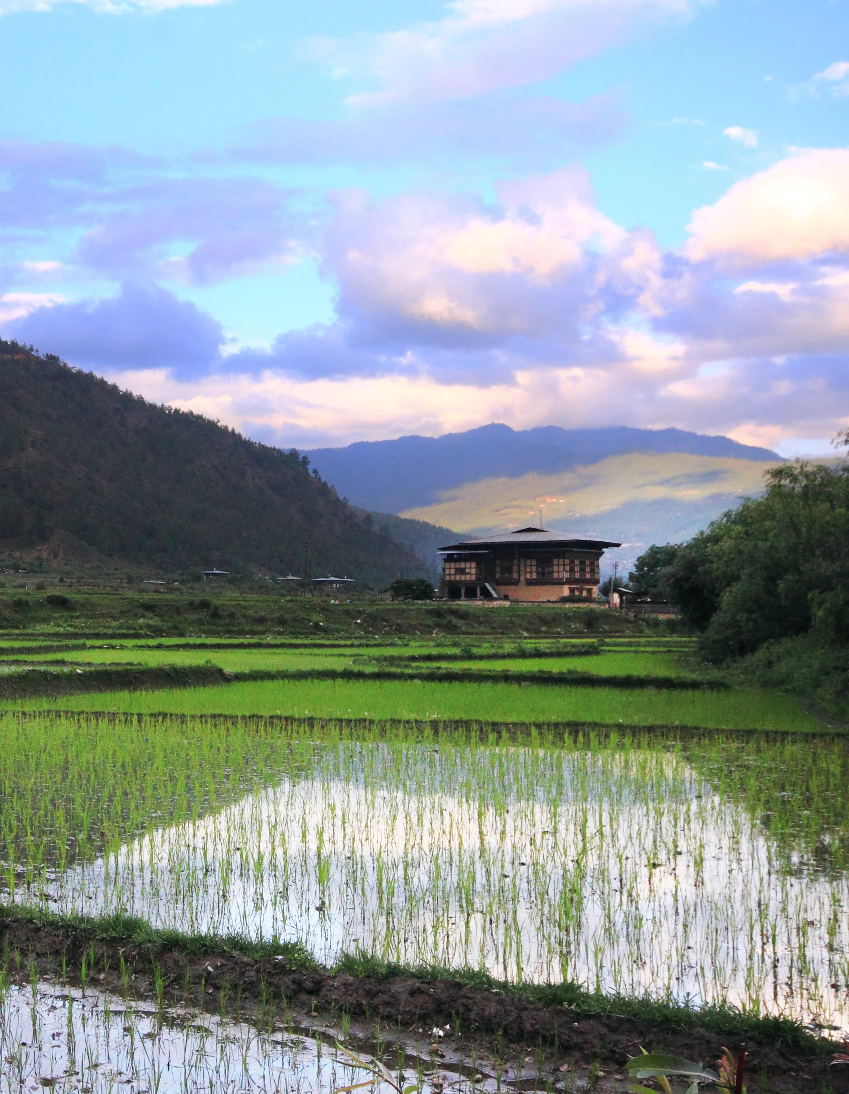 an idyllic farm has water, plants and a barn