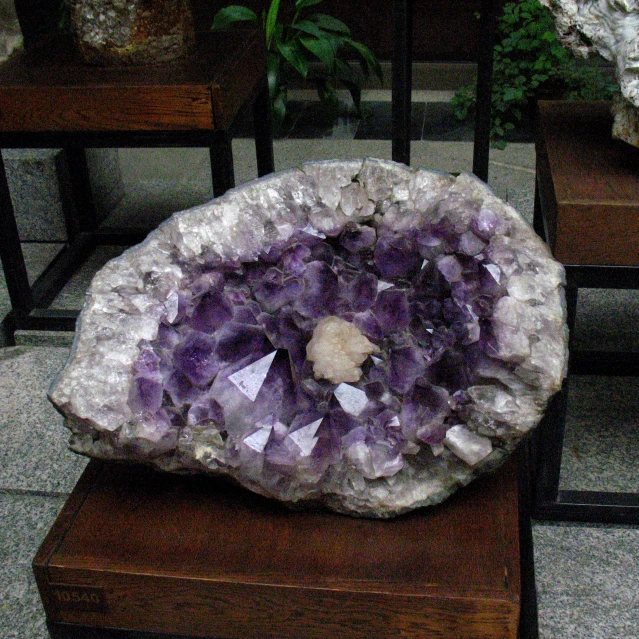 a rock filled with lots of purple rocks