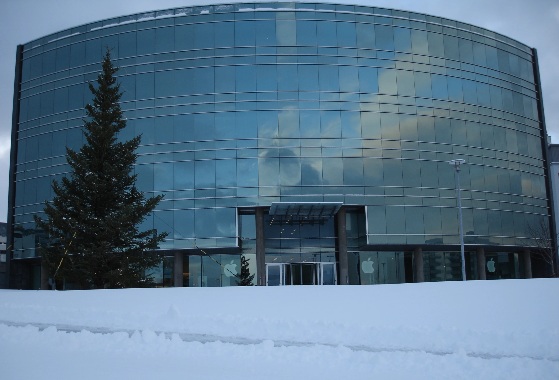 a building with a large glass window in the front and a tree covered in snow in front