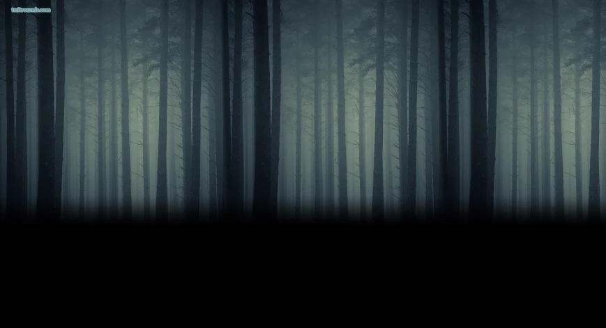 a dark forest scene with some trees