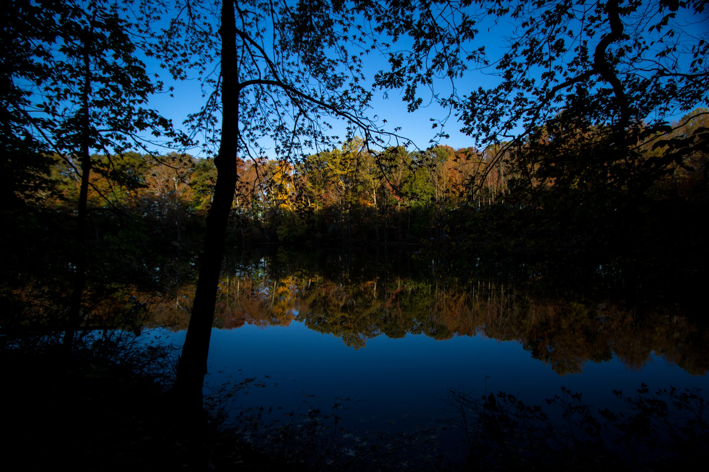 the sun shines on the trees near the water