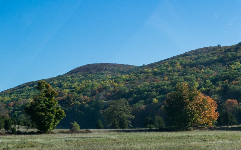 a grassy hill with trees near by on a sunny day