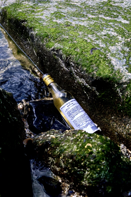 a bottle left in the water on some rocks