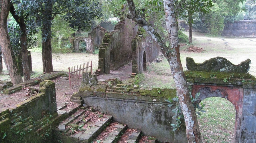 this is an old abandoned cemetery in a wooded area