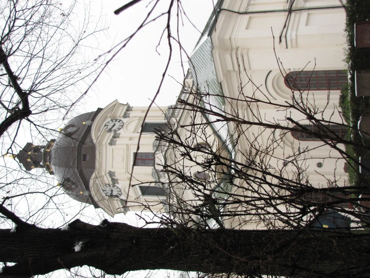 the dome of the building is surrounded by trees