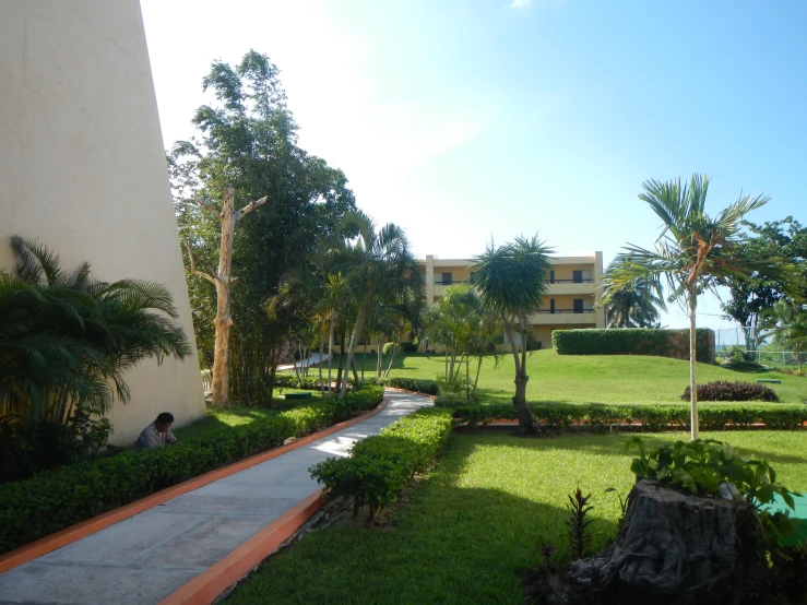 a walkway running through an area of greenery on top of a lush green lawn