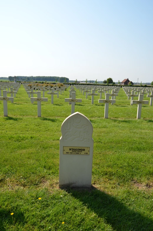 many headstones on the grass in a cemetery