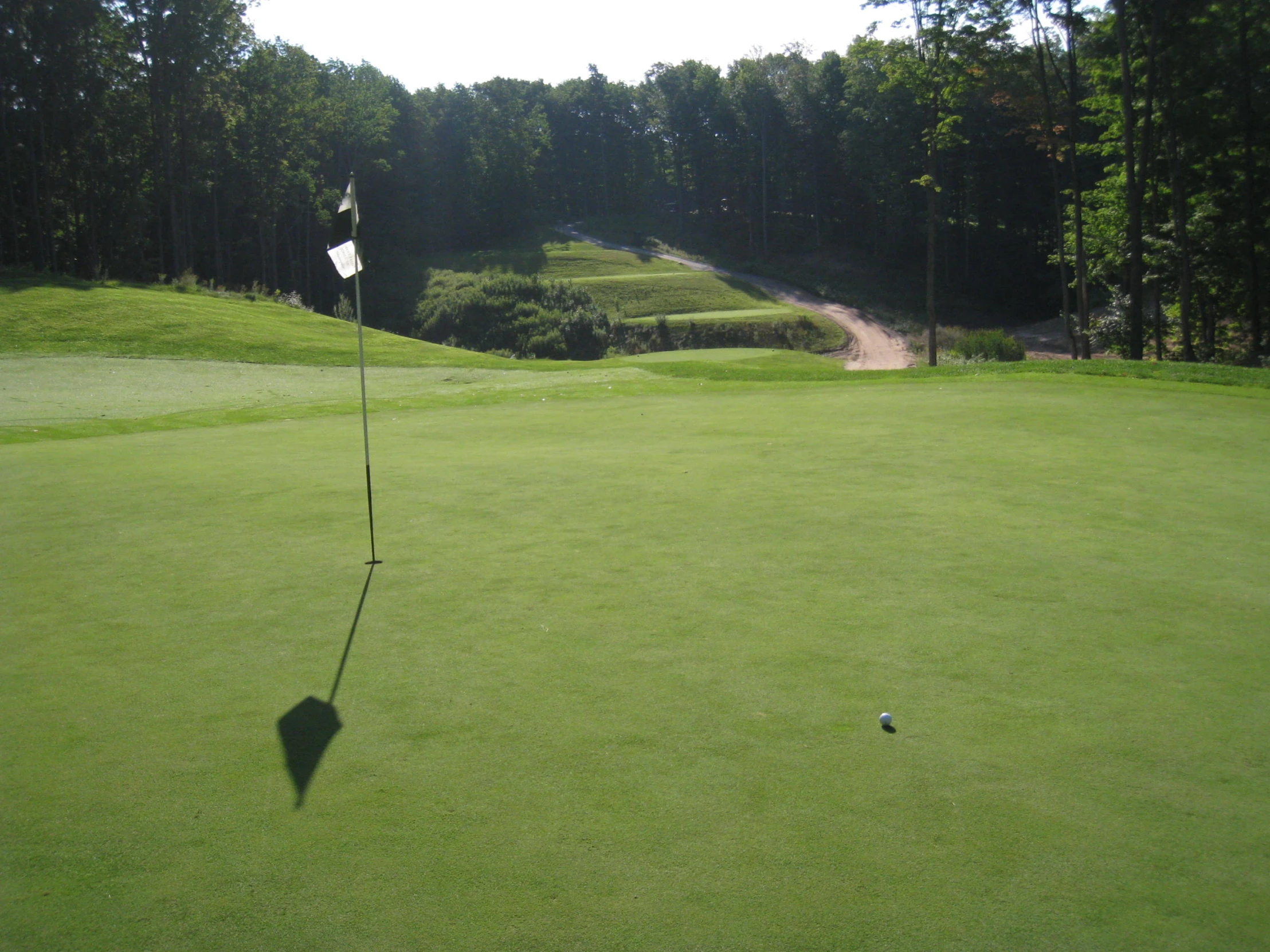 a lone golf ball sitting in the middle of a golf course