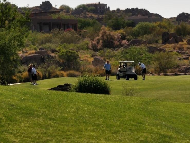 a golf player on the green with the driver preparing his s