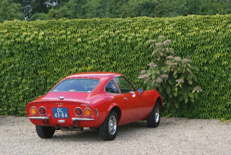 a red sport car in front of a hedge