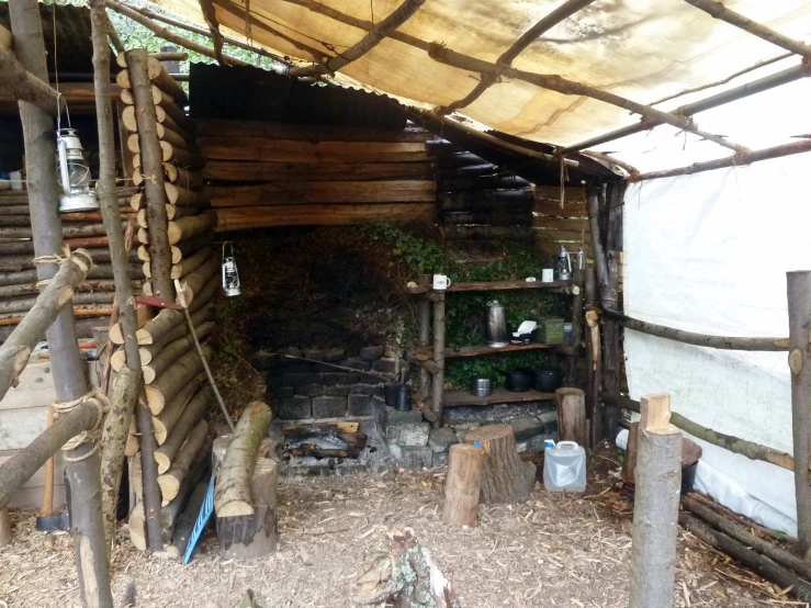 an outdoor shelter with stacks of wood and plants inside