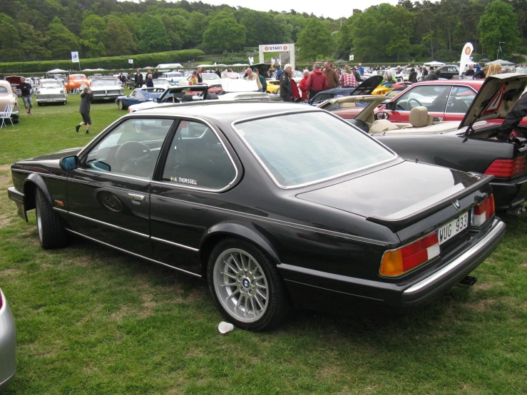 the classic car show has several different cars on display