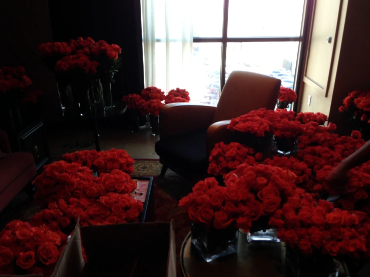 many red flowers in vases and two large windows