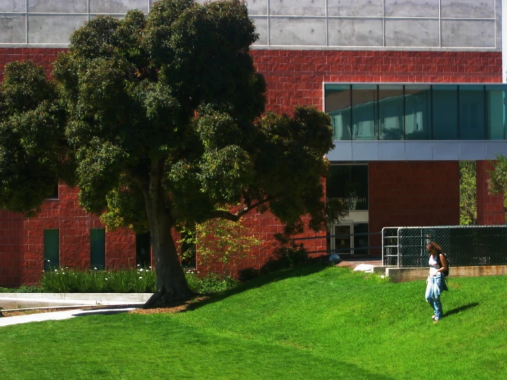 a man is throwing a frisbee on a grassy hill