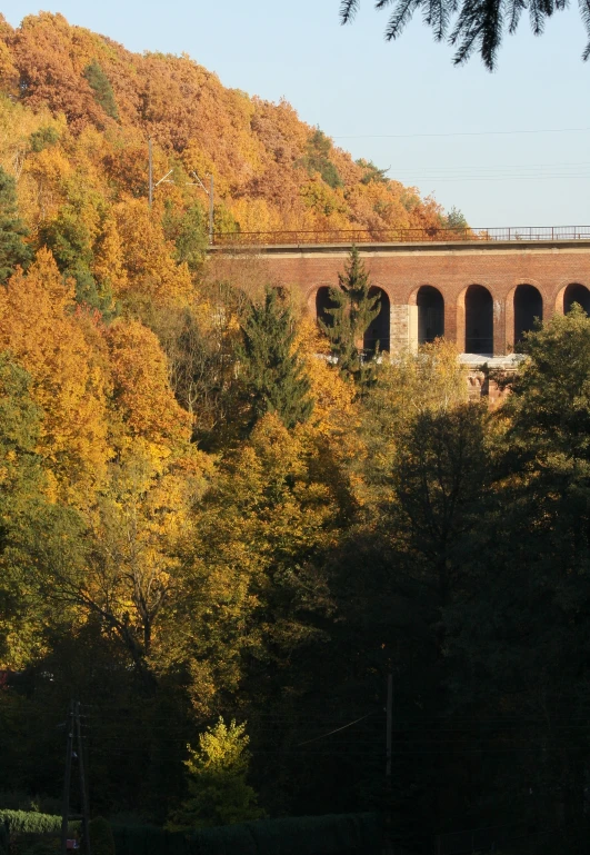 a train on a track with autumn foliage surrounding it