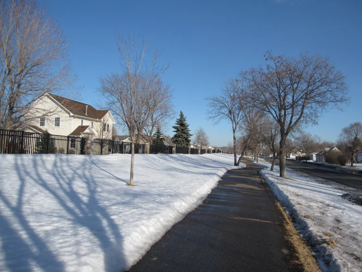 a house on a street lined with trees and snow