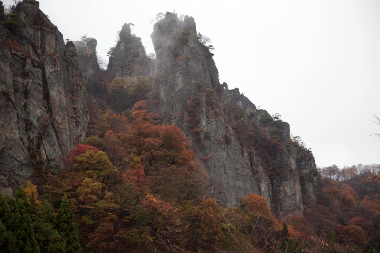 the mountains are very colorful and surrounded by trees