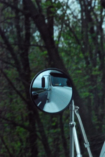 a side view mirror with trees in the background