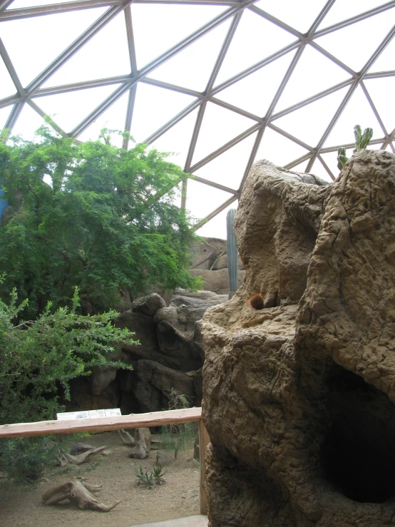 a view of some people walking and on an enclosure