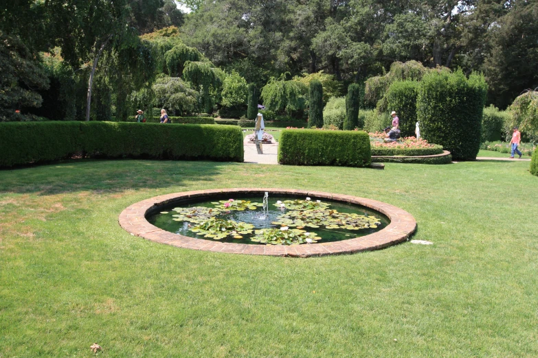 an outdoor park filled with lots of water plants