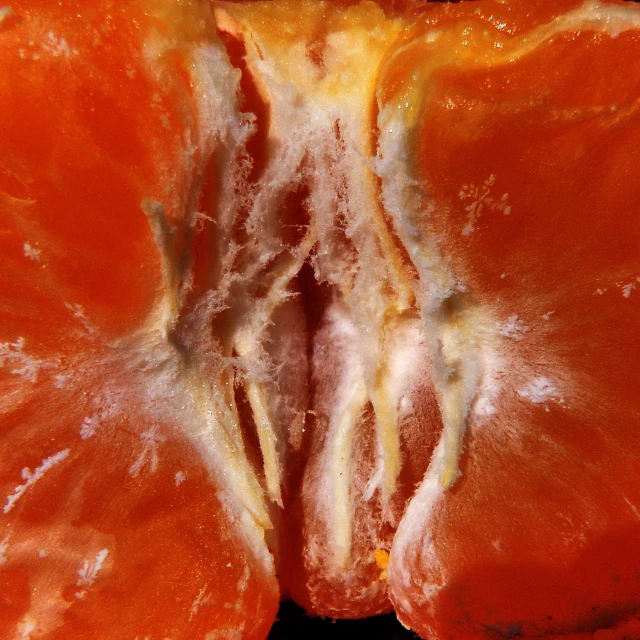 orange peeled citrus fruit with white stripes and some other 