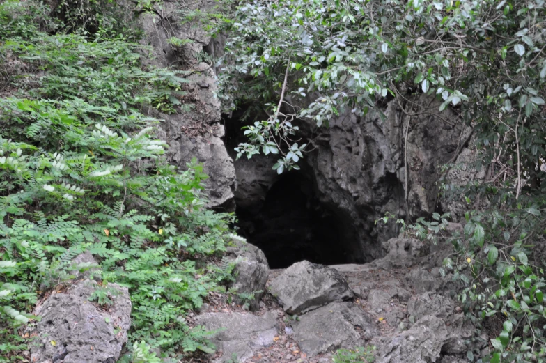 a small tunnel is built into the rocks