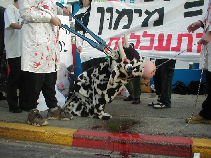 a man with his dalmatian dog  up to a chain