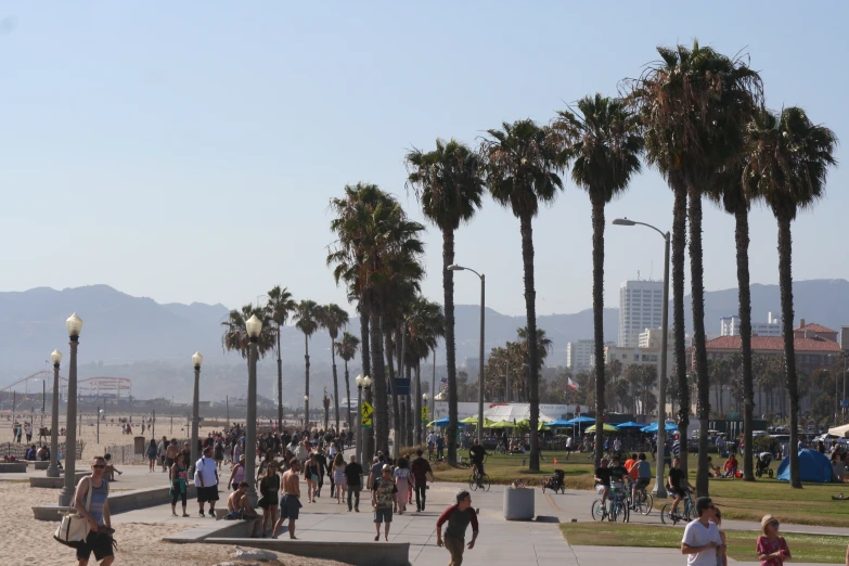 a crowd of people walking around a beach next to palm trees