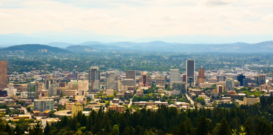 view of a city from a hill with trees and mountains in the background