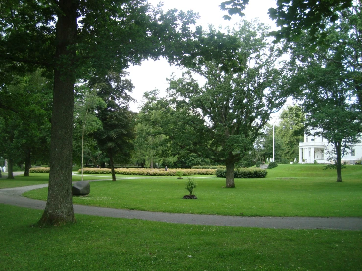 trees near the pathway are shaded by large green trees