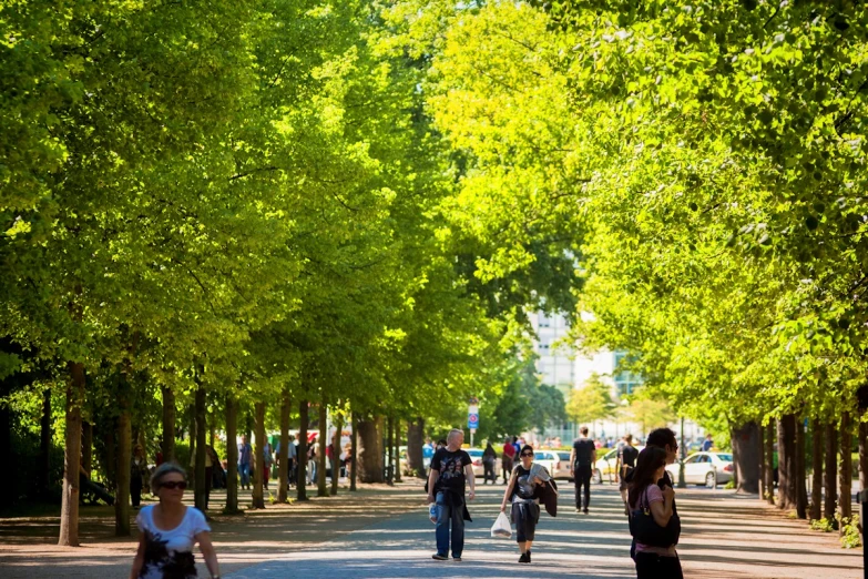 there are many people walking in the park on the street