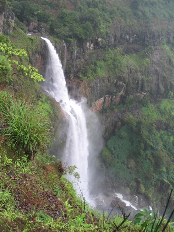 there is a very tall waterfall in the middle of the woods